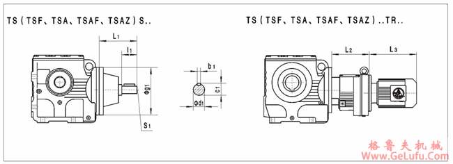 TS..S38、TS..S48、TS..S58、TS..S68、TS..S78、TS..S88、TS..S98、TS..38TR18、TS..48TR18、TS..58TR18、TS..68TR38、TS..78TR38、系列蜗轮蜗杆减速机外形安装尺寸(图2)