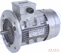 WS系列圆柱蜗杆减速电机附页（电机尺寸）(图2)