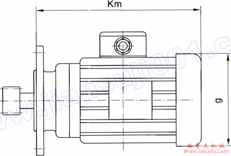 WS系列圆柱蜗杆减速电机附页（电机尺寸）(图3)