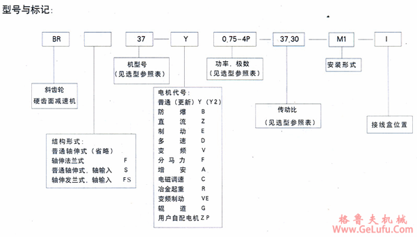 BR系列斜齿轮硬齿面减速机型号与标记(JB/T6447-92)(图2)