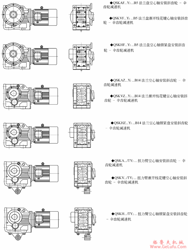 QSK系列斜齿轮―伞齿轮减速机结构型式图(图3)