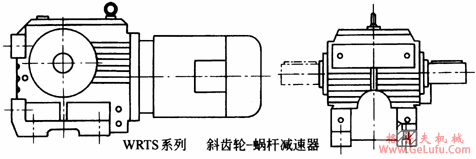 WRTS系列斜齿轮-蜗杆减速机产品特点及性能参数(图2)