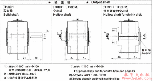 TH3.H、TH3.M型平行轴减速机单级传动卧式安装(图4)