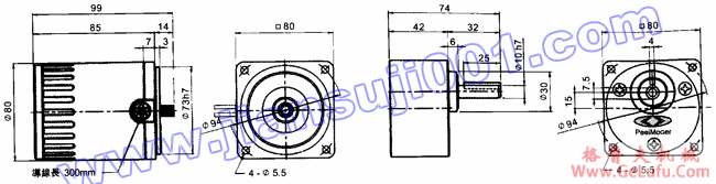 三相感应马达（出力25W-40W）(图2)