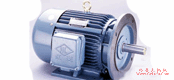 Y-S系列注塑机用三相异步电动机(图2)