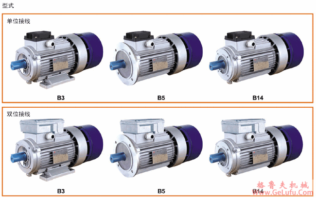 WYEJA系列制动电动机使用说明及型式 (图3)