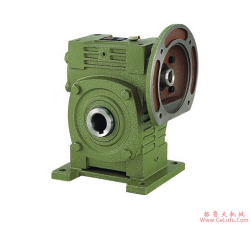 WPWDKS系列蜗轮蜗杆减速机(图4)