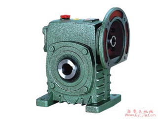 WPDKS系列蜗轮蜗杆减速机   (图4)