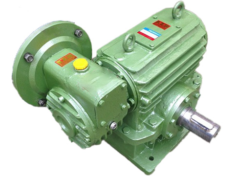 **结构与效率：蜗轮蜗杆减速机的双重优势**(图1)